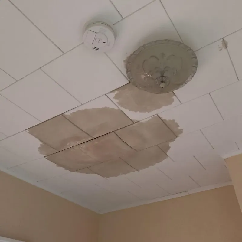 Ceiling Water Damage Repair in Staunton, VA