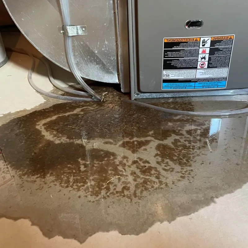 Pipe Burst and Leak Restoration in Staunton, VA